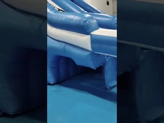 Glissière gonflable géante d'extérieur pour le commerce Glissière gonflable d'eau pour le dessin animé de pieuvre