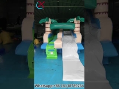 Commercial Glissière gonflable Palm Glissière gonflable à l'eau sèche extérieure