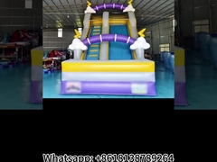 Commercial Cloud Lightning Glissière gonflable Glissière gonflable à sec Château